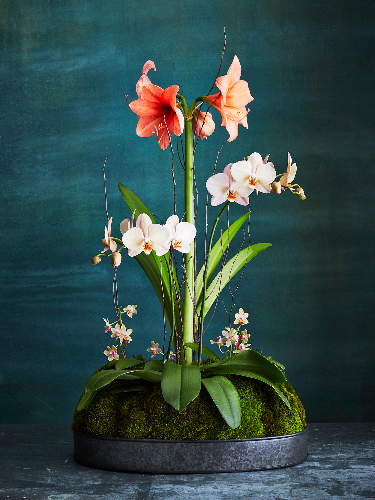 amaryllis-orchid-arrangement-034-d111854